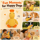 description_selected2