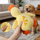 description_selected1