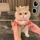 Colete Gradiente Dourado – Patinha Feliz®