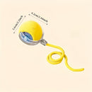 description_selected1