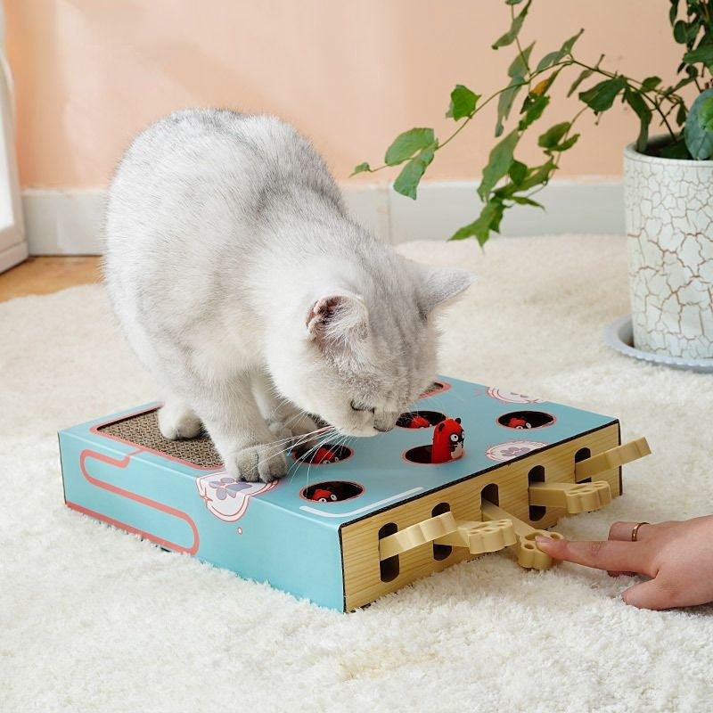 Brinquedo Interativo de Madeira com Placa para Arranhar e Descanso para Gatos - Patinha Feliz®