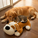 description_selected2