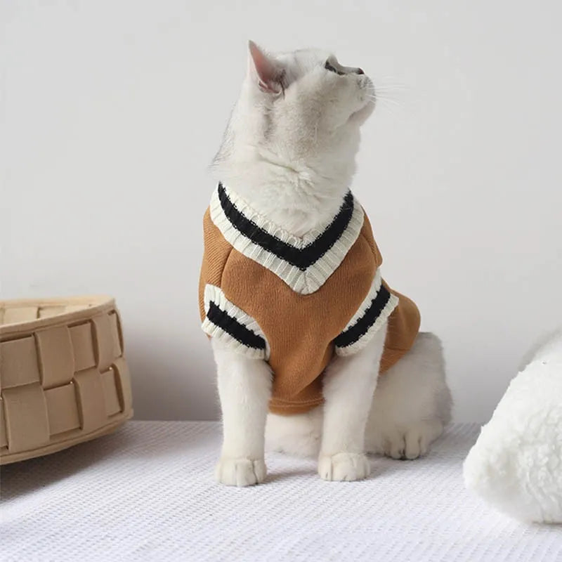 Camisola Tricotada de Algodão – Patinha Feliz®