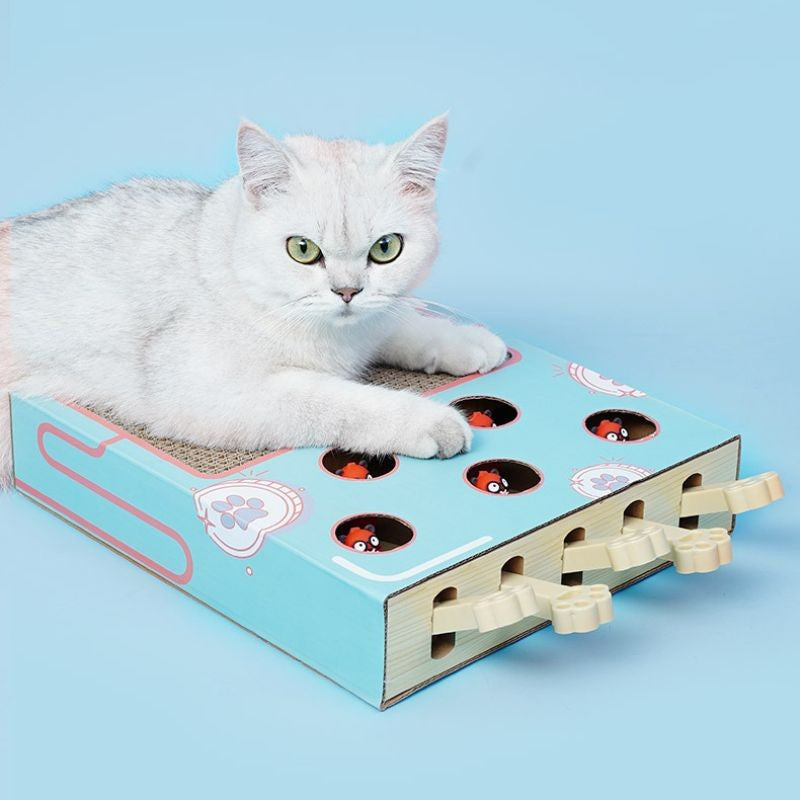 Brinquedo Interativo de Madeira com Placa para Arranhar e Descanso para Gatos - Patinha Feliz®
