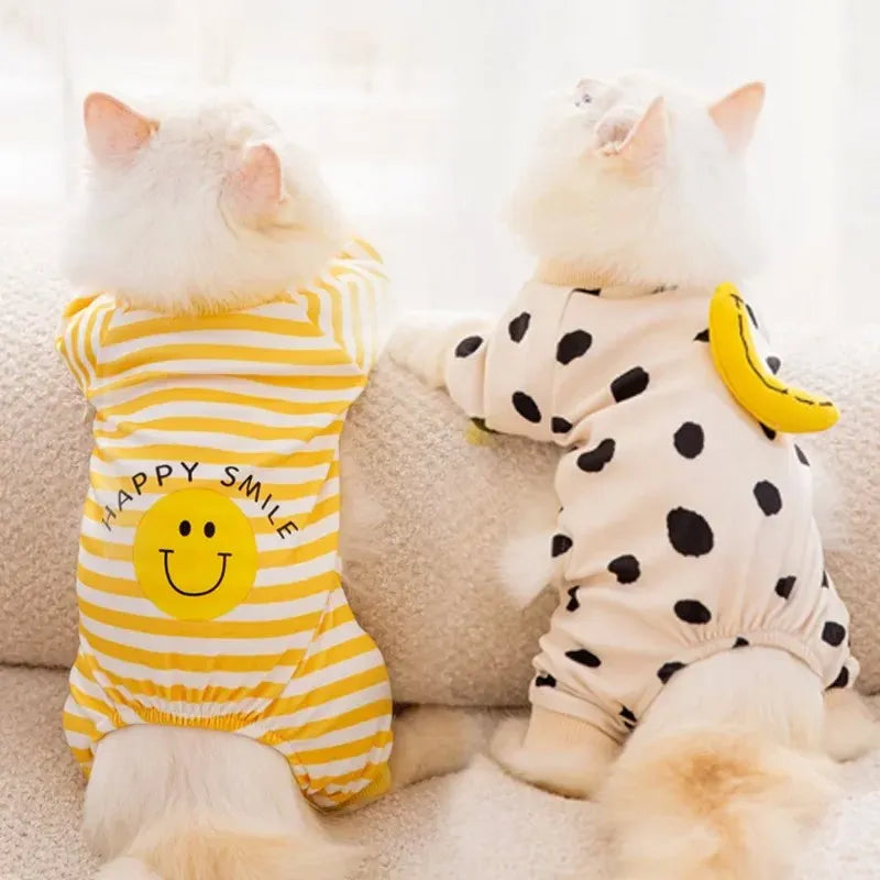 Terno de Quatro Patas com Ventilação Ativa – Patinha Feliz®