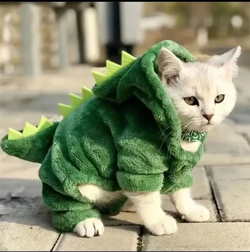 Fantasia Dino Divertido - Patinha Feliz®