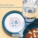 description_selected4
