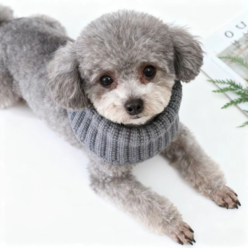 Cachecol para animais de estimao um cachecol quente de inverno para ces suave para a pele trmico artesanato tricotado disponvel em trs cores perfeito para manter ces quentes durante o inverno