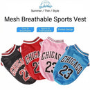 Camisola de Malha de Basquetebol para Ces de Vero XS5XL Roupa Respirvel para Ces Pequenos Mdios e Grandes Colete TShirt para Cachorros para Chihuahua Teddy Bulldog Francs Golden Retriever